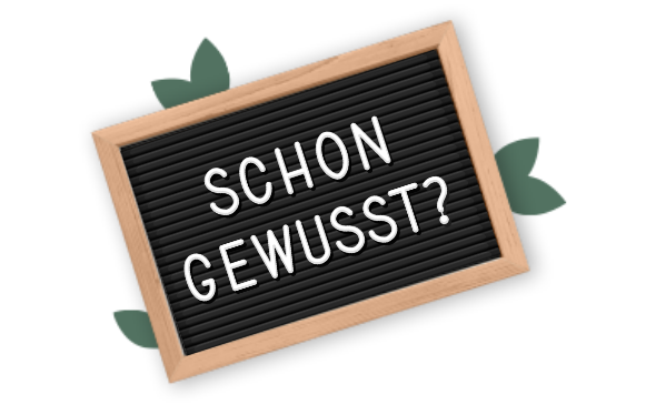 Millionen von Spermien gelangen in die Gebärmutter, doch nur eines befruchtet die Eizelle.
